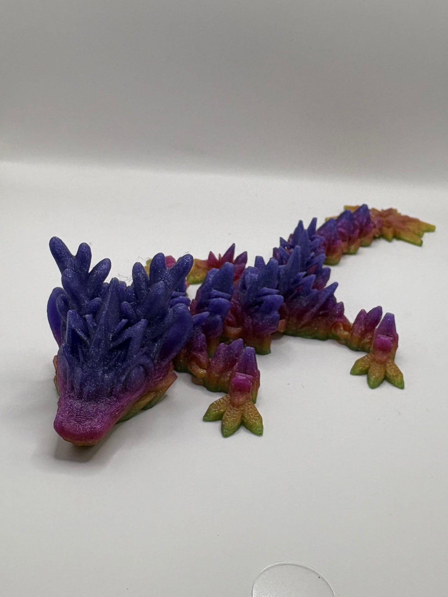 Colorful Dragon
