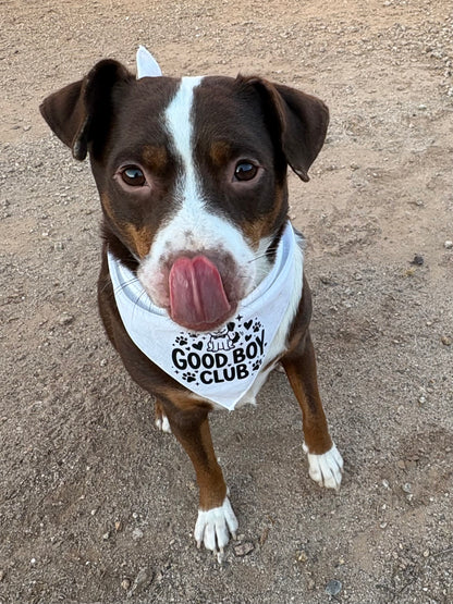 Good Boy Club