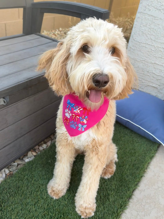 Patriotic Paws and bows