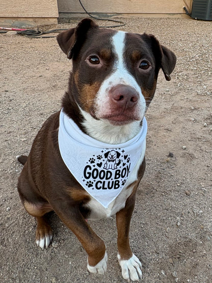 Good Boy Club