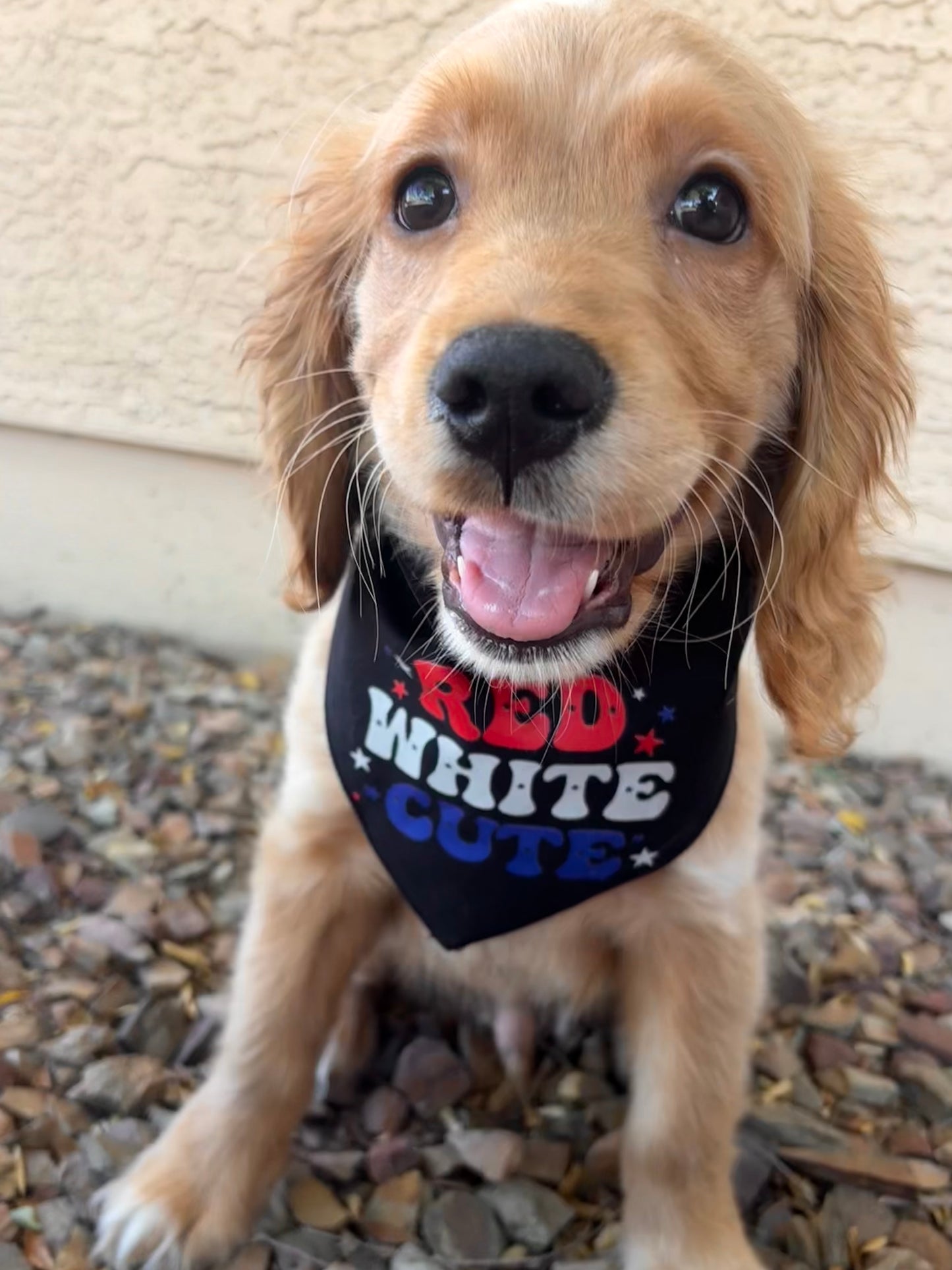 Red white cute