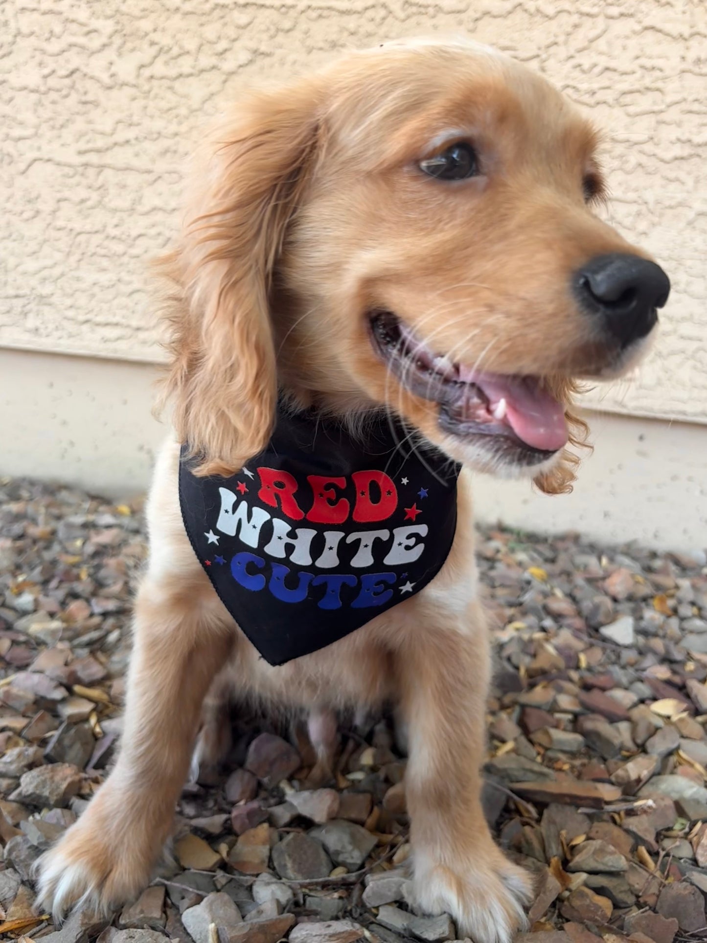 Red white cute
