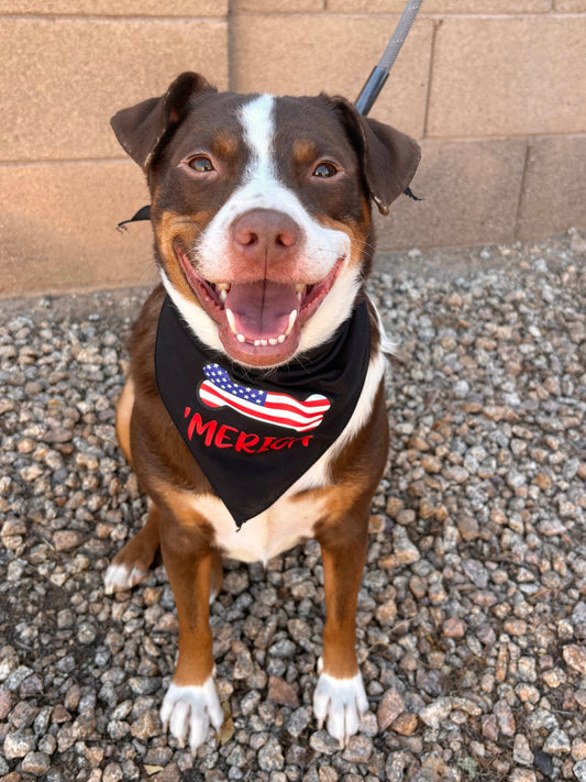 'Merica Bone