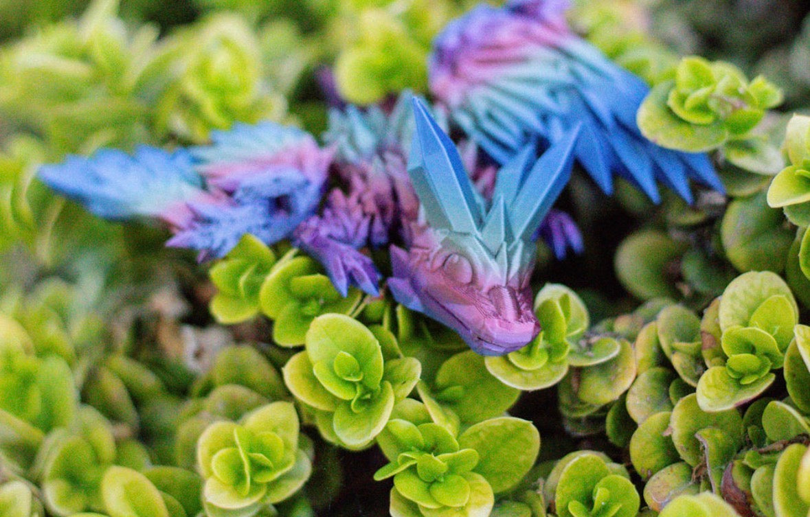 Colorful Dragon with Wings