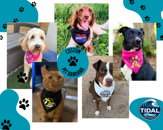 Custom Pet Bandana